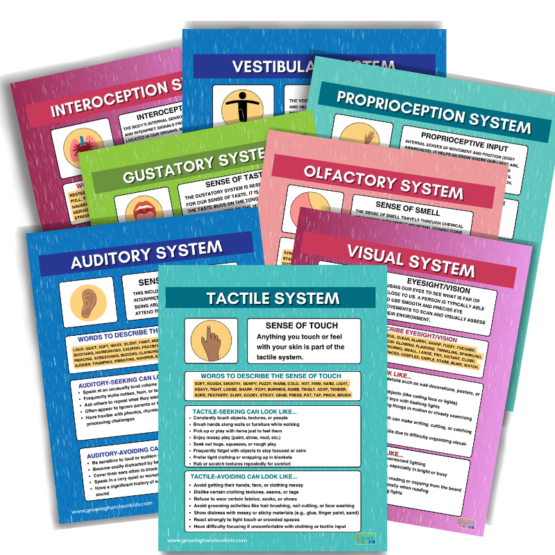 The Sensory System Printable Guides