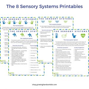 The Sensory System Printable Guides - Growing Hands On Kids Store