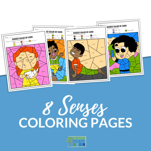 The 8 Senses Color by Code Printables - (Instant Download/PDF)