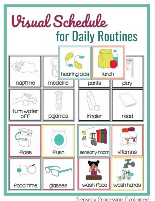 Cover image of a Visual Schedule for Daily Routines showing illustrated icons with words such as nap time, medicine, pants, play, hearing aids, lunch, pajamas, inhaler, read, floss, flush, sensory room, vitamins, food time, glasses, wash face, and wash hands.